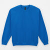 18000_7686C_G2025_LD-Royal Heavy Blend Sweatshirt