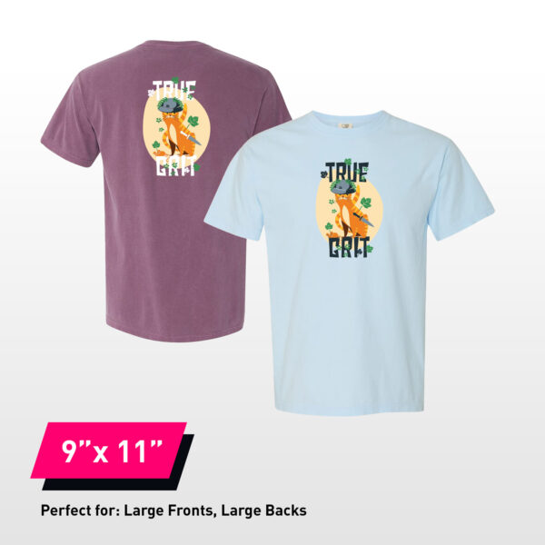 9x11 DTF Transfers By Size